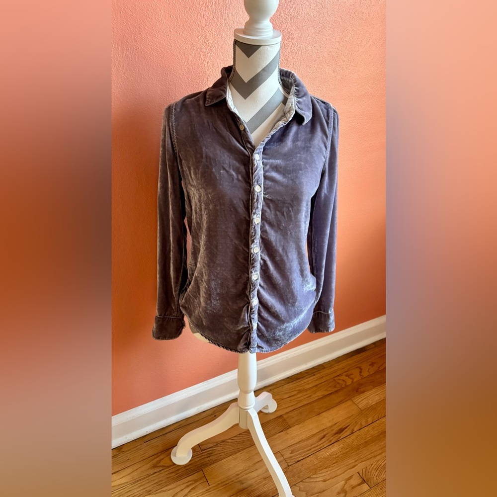 CD Shades Plush Velvet Button-Down Shirt in Dusty Lavender